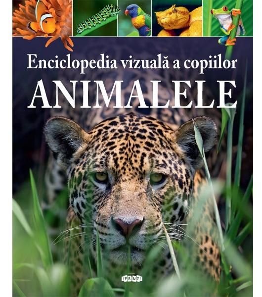 Cartea Enciclopedia vizuala a copiilor. Animalele de Michael Leach, Meriel Lland