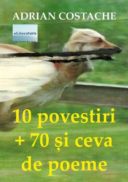 Cartea 10 povestiri + 70 si ceva de poeme de Adrian Costache