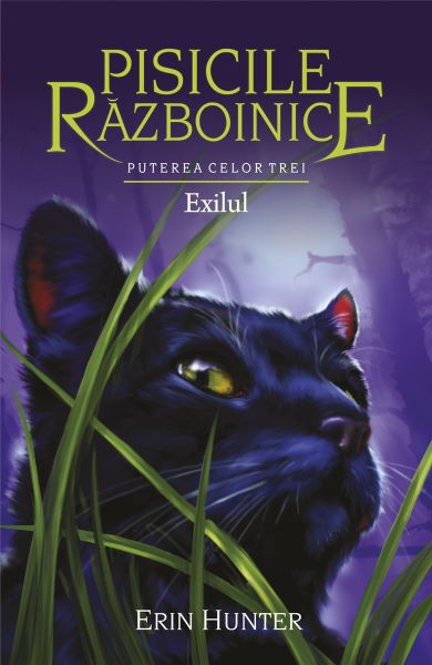 Cartea Pisicile Razboinice Vol.15: Exilul - Erin Hunter