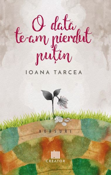 Cartea O data te-am pierdut putin de Ioana Tarcea