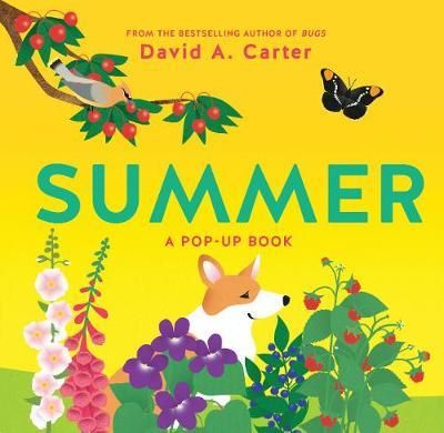Cartea Summer: A Pop-Up Book de David Carter – Editura ABRAMS