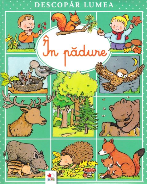 Cartea Descopar lumea. In padure - Emilie Beaumont, Sylvie Michelet