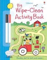 Big Wipe Clean Activity Book - Sam Taplin