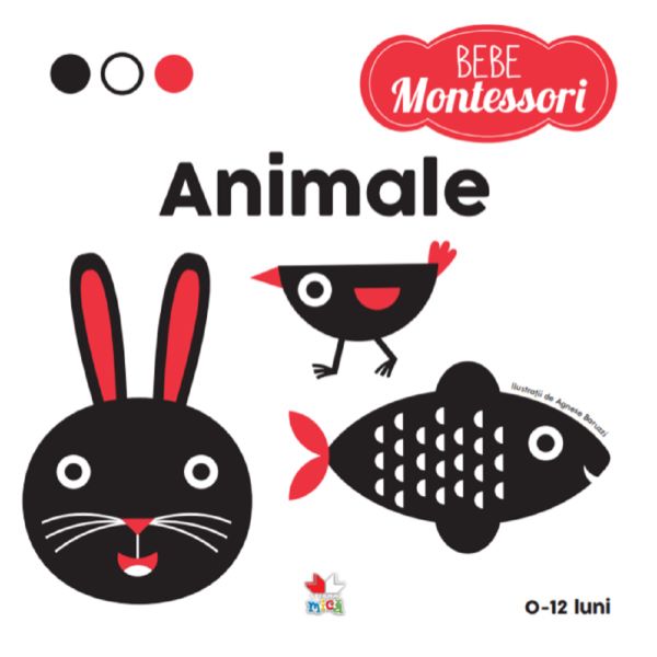 Bebe montessori. Animale