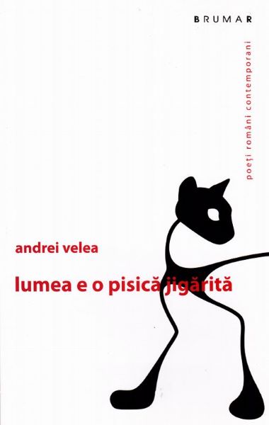 Cartea Lumea e o pisica jigarita - Andrei Velea