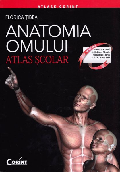 Cartea Anatomia omului - Atlas Scolar de Florica Tibea