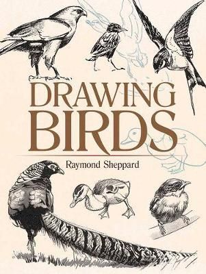 Cartea Drawing Birds de Raymond Sheppard