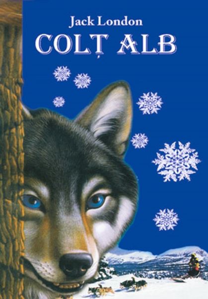 Cartea Colt Alb de Jack London – Editura STEAUA NORDULUI