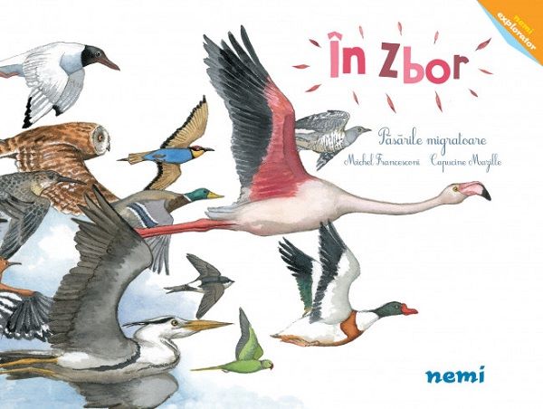 In zbor. Pasarile migratoare, Capucine Mazille, Michel Francesconi – copertă
