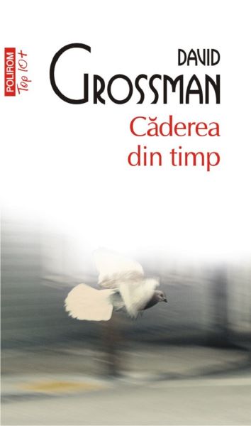 Cartea Caderea din timp - David Grossman