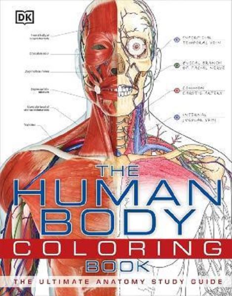 The Human Body Coloring Book, * * * – copertă
