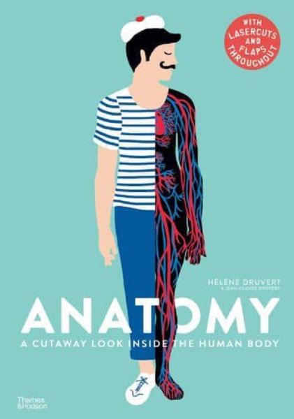 Anatomy, Helene Druvert – copertă
