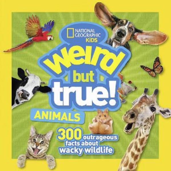 Weird But True Animals, * * * – copertă
