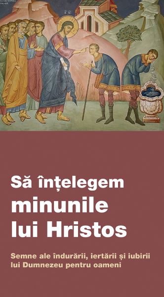 Cartea Sa intelegem minunile lui Hristos. Semne ale indurarii, iertarii si iubirii lui Dumnezeu pentru oameni de Autor Anonim – Editura DE SUFLET