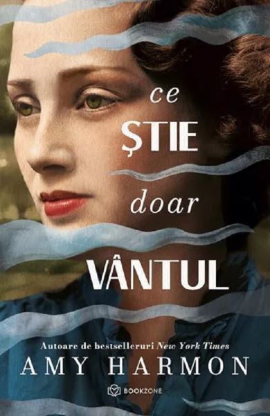 Ce stie doar vantul, Amy Harmon – copertă