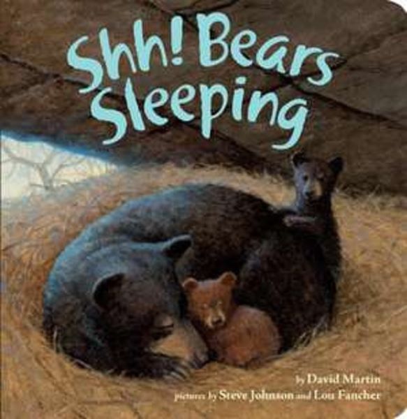 Shh! Bears Sleeping, David Martin – copertă