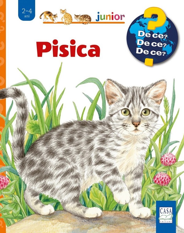 Pisica, Patricia Mennem – copertă