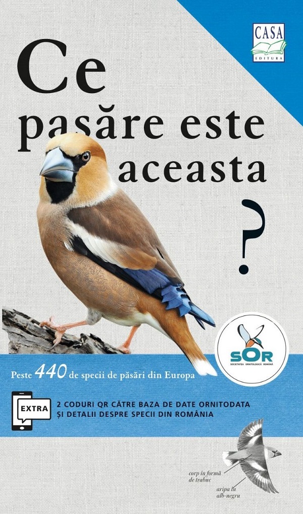 Ce pasare este aceasta?, Volker Dierschke – copertă