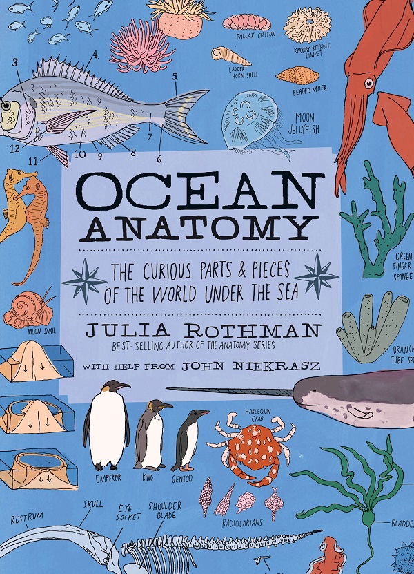 Cartea Ocean Anatomy: The Curious Parts and Pieces of the World under the Sea de Julia Rothman