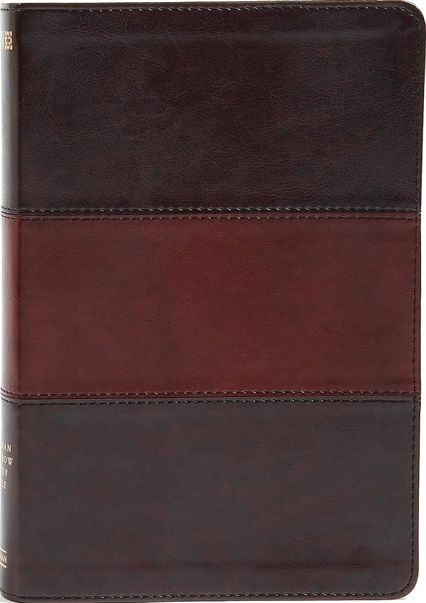 Cartea Rainbow Study Bible-NIV