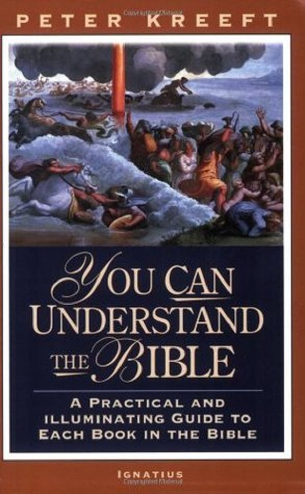 Cartea You Can Understand The Bible