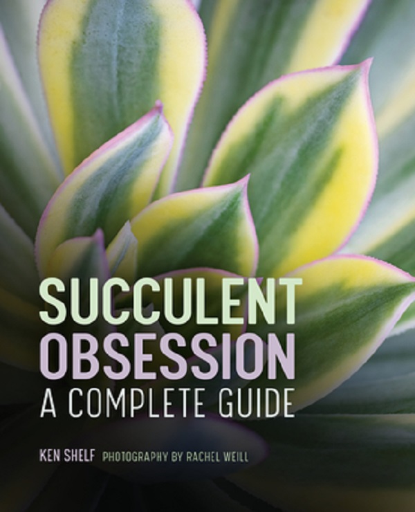 Cartea Succulent Obsession: A Complete Guide de Ken Shelf