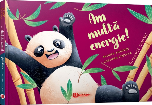 Cartea Am multa energie! N-am chef de nimic!. Intoarce cartea