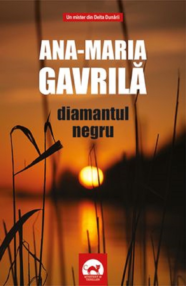 Diamantul negru, Roxana-Maria Gavrila – copertă
