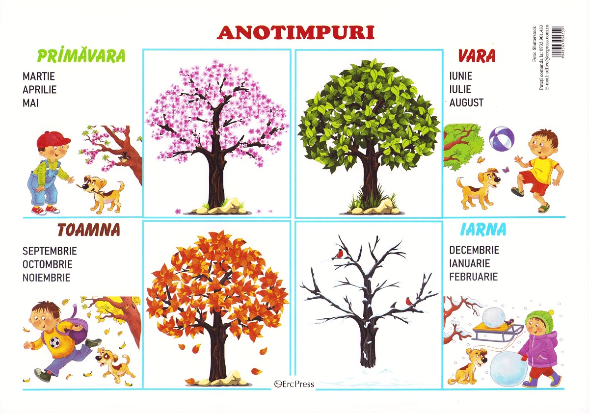 Plansa. Anotimpuri,  – copertă