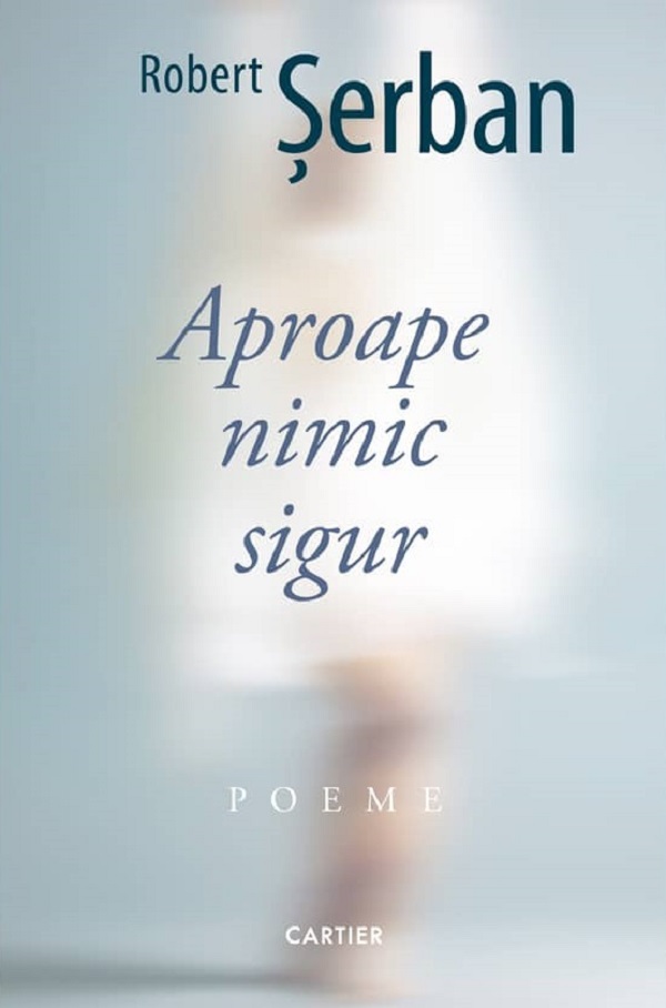 Aproape nimic sigur, Mircea Mihaies – copertă