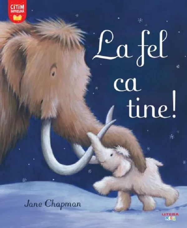 La fel ca tine!, Jane Chapman – copertă