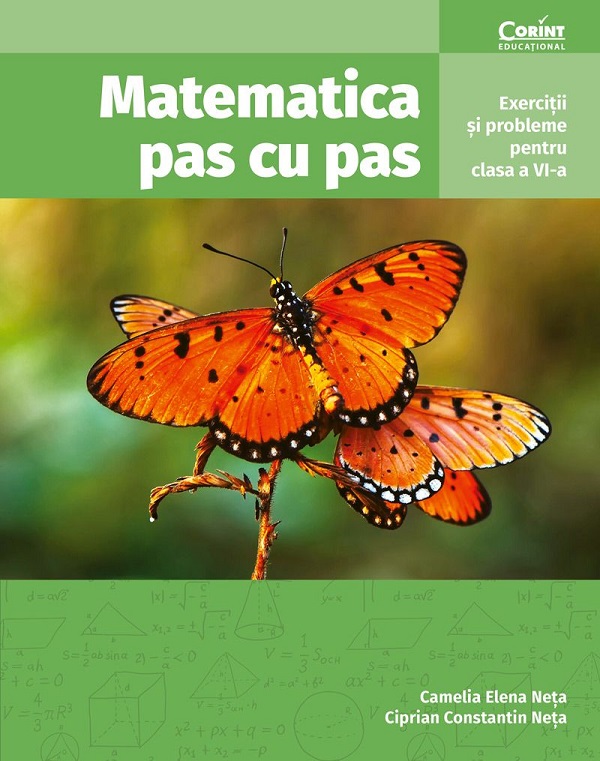 Matematica pas cu pas - Clasa 6 - Exercitii si probleme, Ciprian Constantin Neta, Camelia Elena Neta – copertă