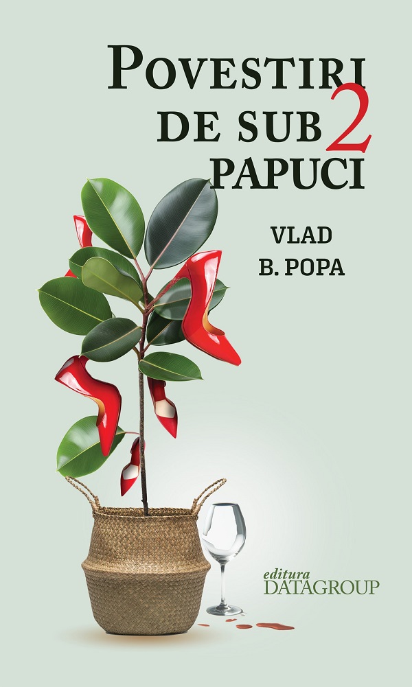 Cartea Povestiri de sub 2 papuci de Vlad B. Popa – Editura DATAGROUP