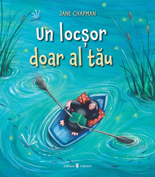 Cartea Un locsor doar al tau de Jane Chapman