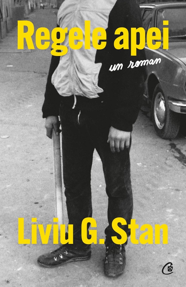 Regele apei, Liviu G. Stan – copertă