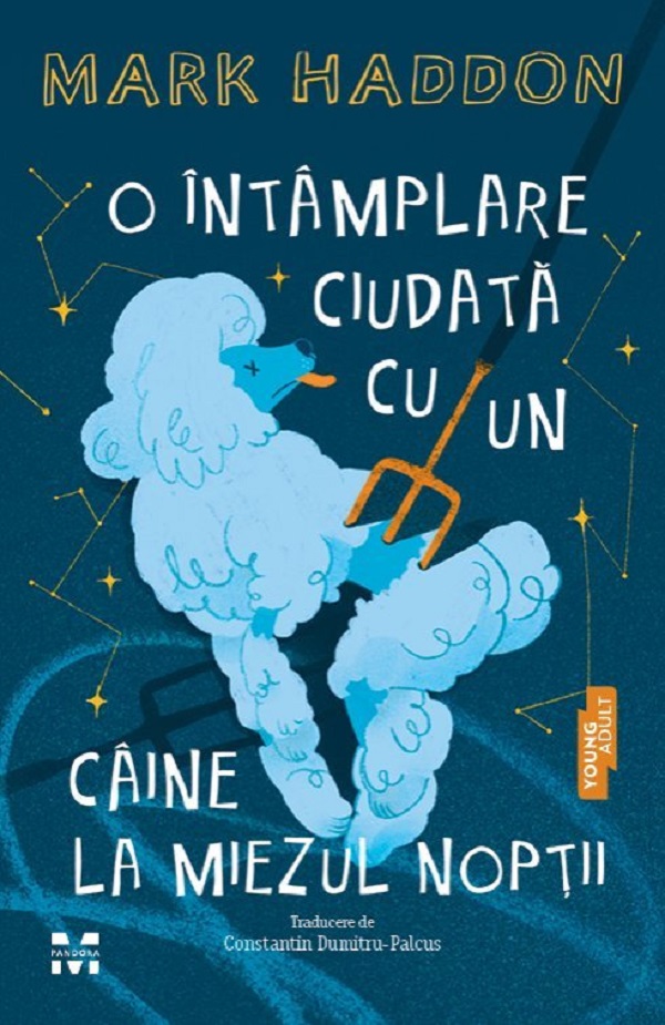 Cartea O intamplare ciudata cu un caine la miezul noptii de Mark Haddon