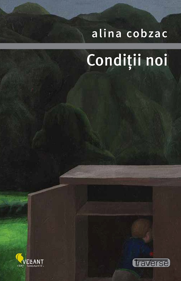 Conditii noi, Alina Cobzac – copertă