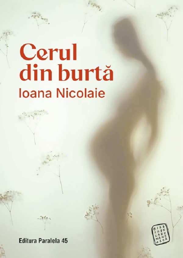 Cerul din burta Ed.2, Ioana Nicolaie – copertă