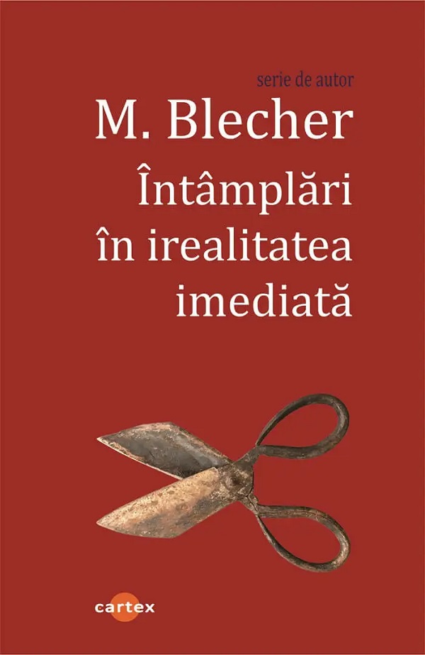 Cartea Intamplari in irealitatea imediata de Max Blecher