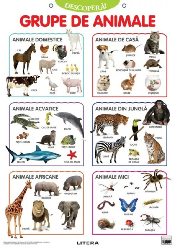 Plansa: Descopera! Grupe de animale,  – copertă