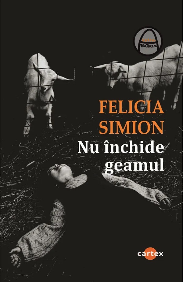 Nu inchide geamul, Felicia Simion – copertă