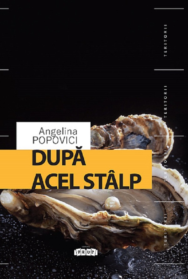 Dupa acel stalp, Angelina Popovici – copertă