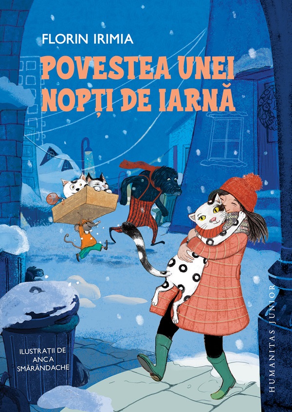 Povestea unei nopti de iarna, Florin Irimia – copertă