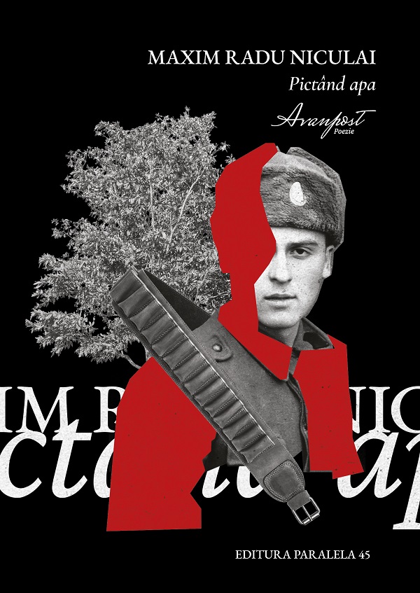Cartea Pictand apa de Maxim Radu Niculai