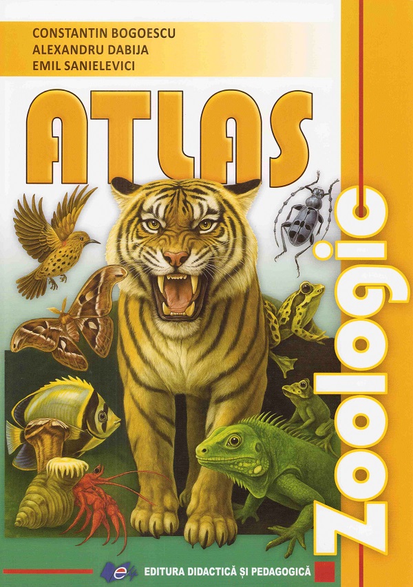 Cartea Atlas zoologic Ed.2025 de Constantin Bogoescu, Alexandru Dabija, Emil Sanielevici