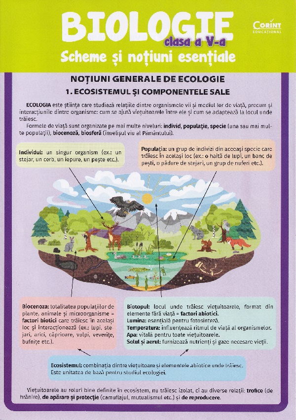 Cartea Biologie - Clasa 5 - Scheme și noțiuni esențiale de Silvia Olteanu, Iuliana Tanur, Camelia Manea