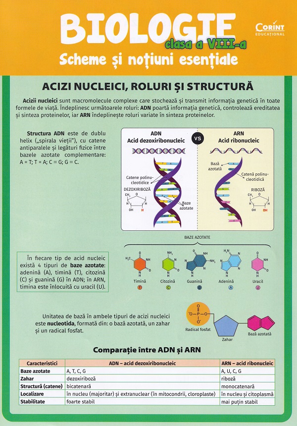 Cartea Biologie - Clasa 8 - Scheme și noțiuni esențiale de Silvia Olteanu, Iuliana Tanur, Camelia Manea