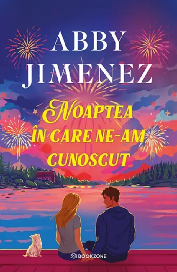 Cartea Noaptea în care ne-am cunoscut 