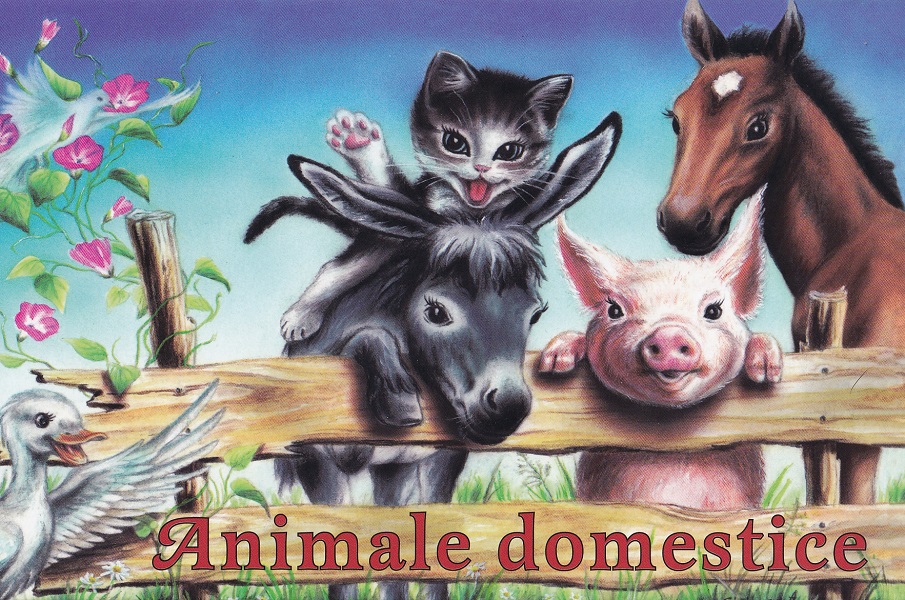 Cartea Animale domestice. Pliant  de Smaranda Burca