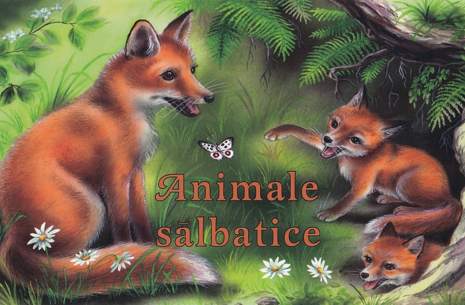 Animale sălbatice. Pliant 